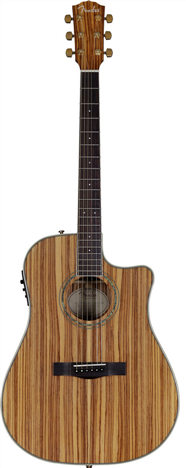 Fender CD-220SCE All Zebrano